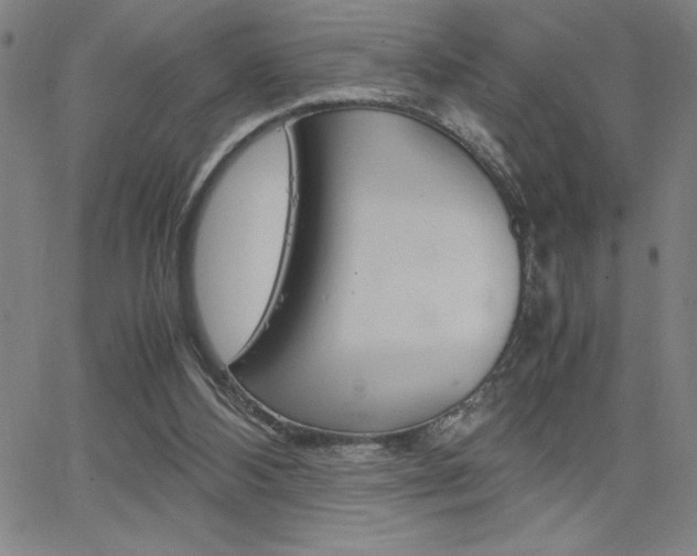 X0000062150108200512091000