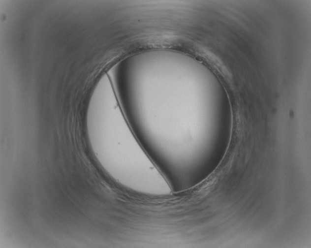 X0000062150113200512091000