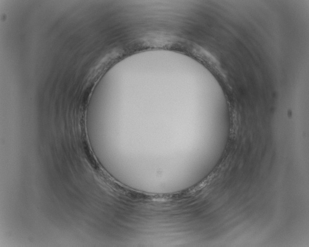 X0000062150114200512091000