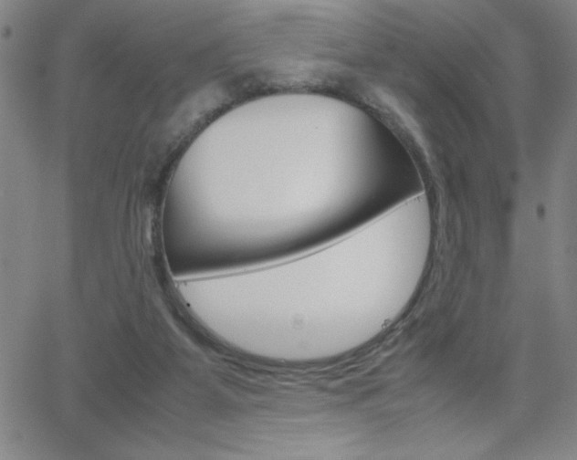 X0000062150115200512091000