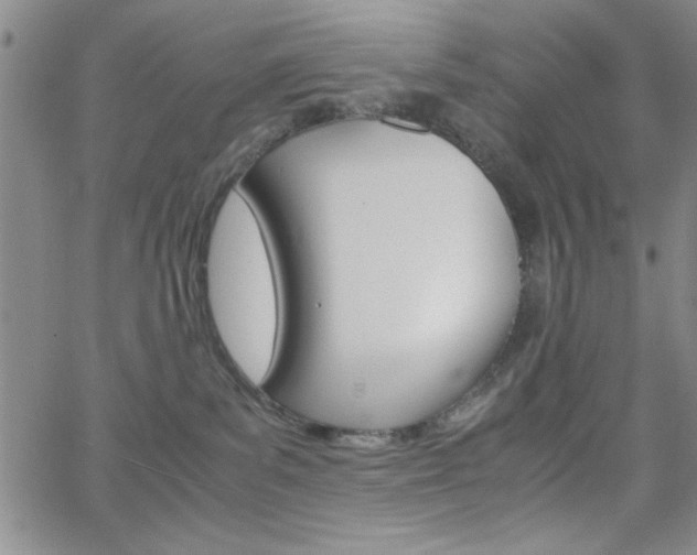 X0000062150139200512091000