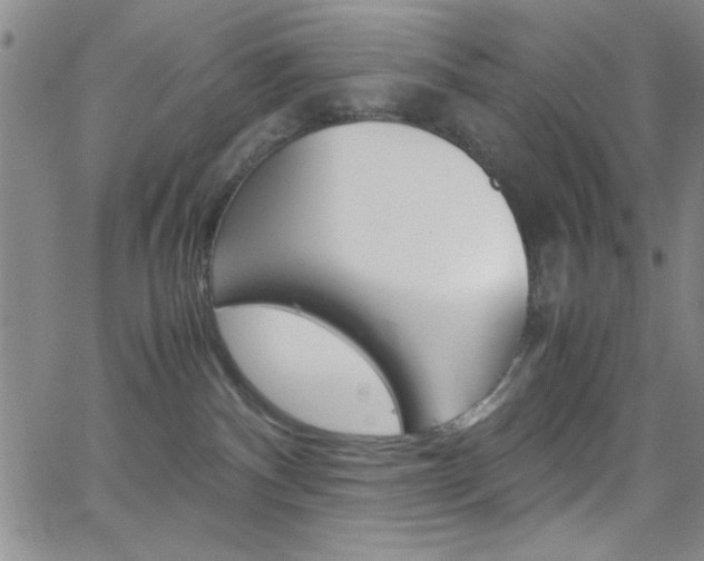 X0000062150140200512091000