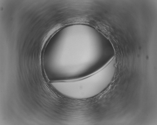 X0000062150148200512090959