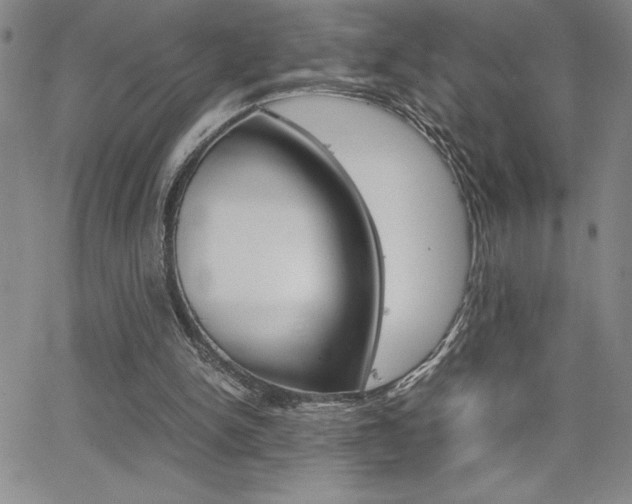 X0000062150150200512090959