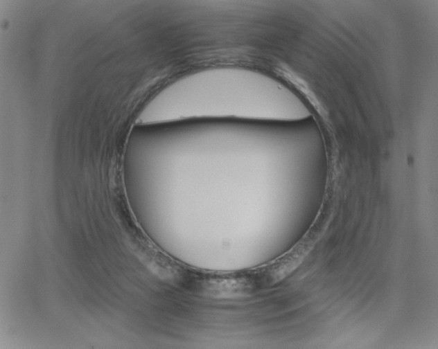 X0000062150161200512090959
