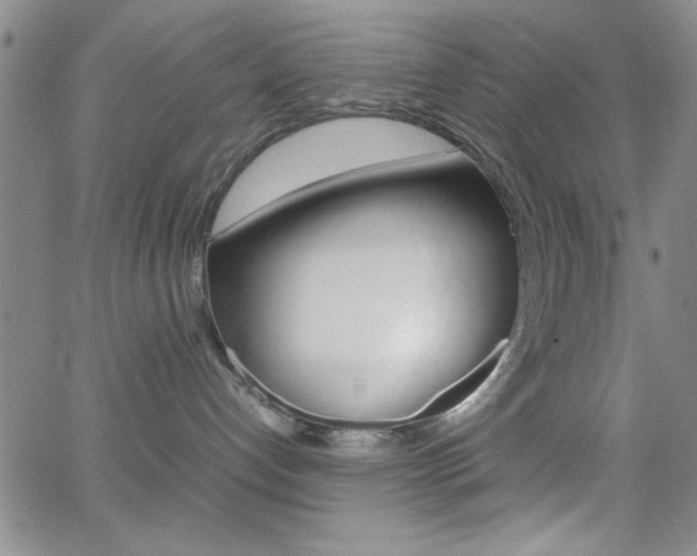 X0000062150192200512091000