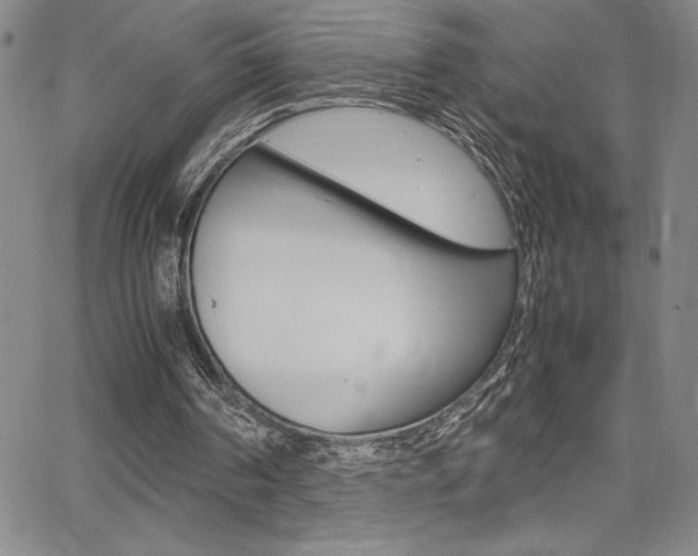 X0000062150194200512090959