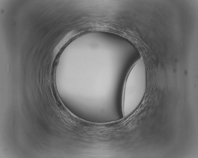 X0000062150195200512090959