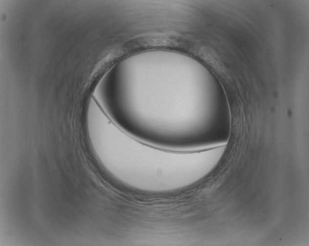 X0000062150207200512090959