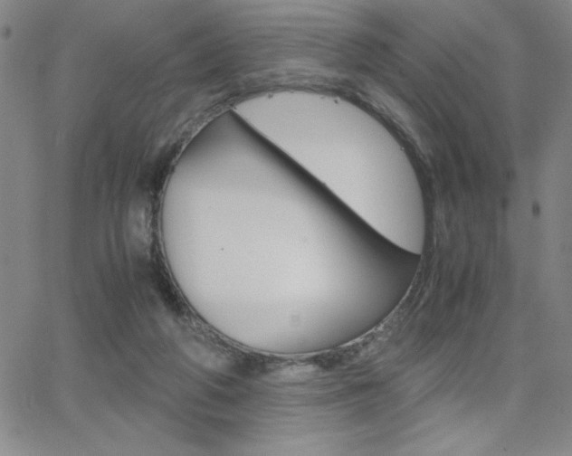 X0000062150210200512090959