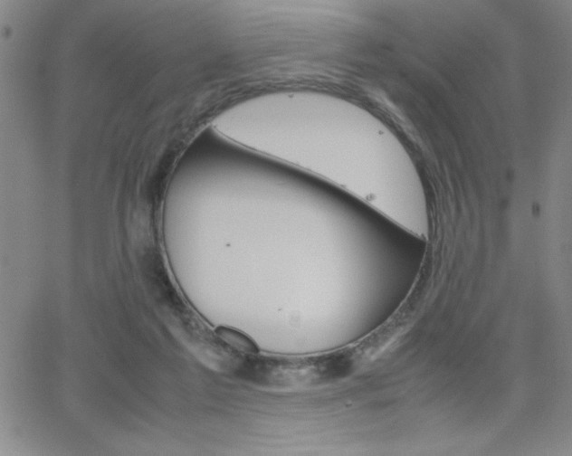 X0000062150213200512090959