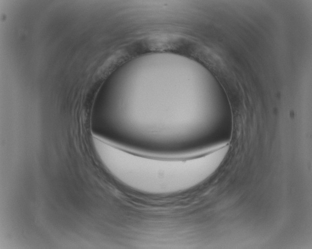 X0000062150219200512090959