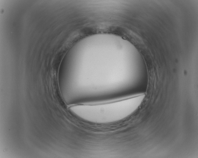 X0000062150225200512090959