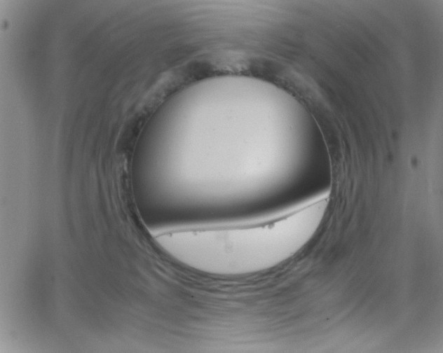 X0000062150229200512090959