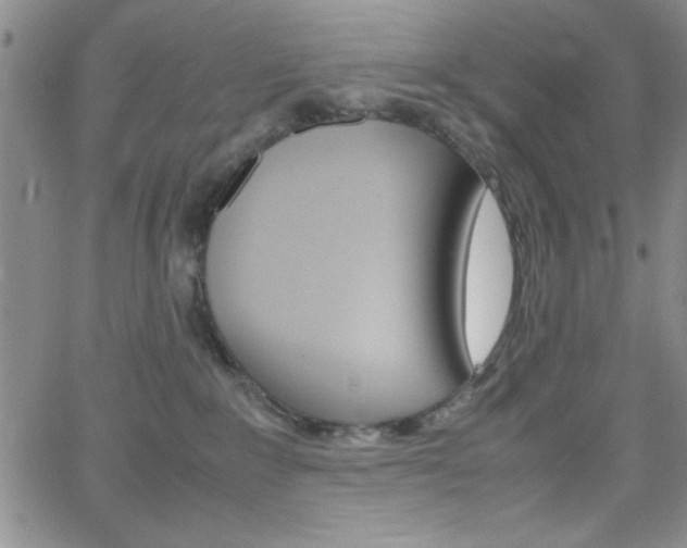 X0000062150235200512090958