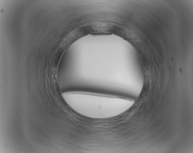 X0000062150237200512090958