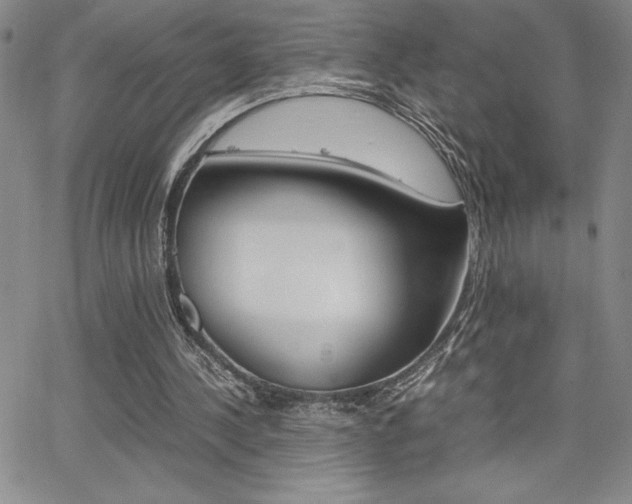 X0000062150244200512090958