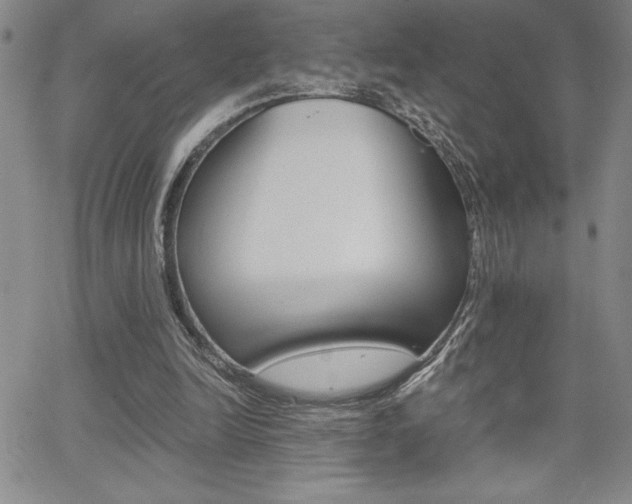 X0000062150246200512090958