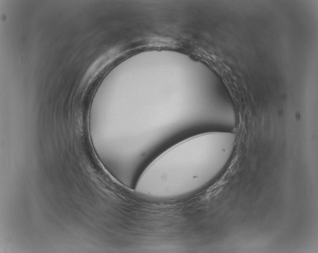 X0000062150247200512090958