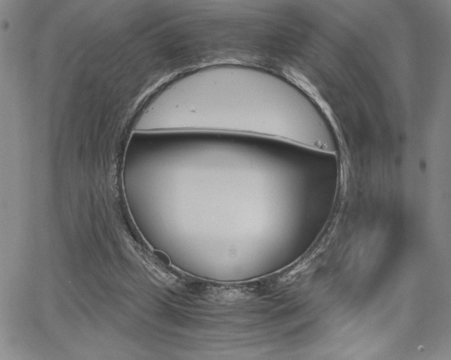 X0000062150249200512090958