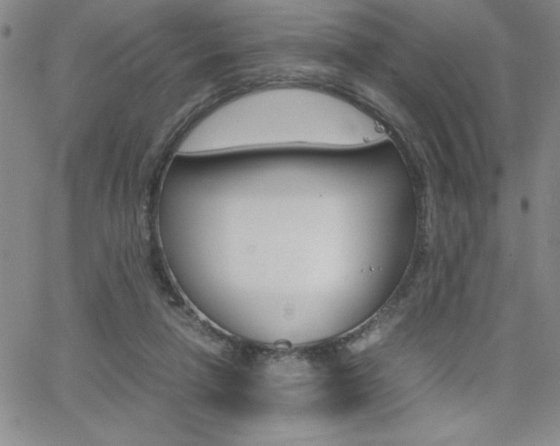 X0000062150258200512090958