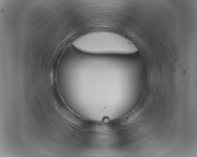 X0000062150262200512090958