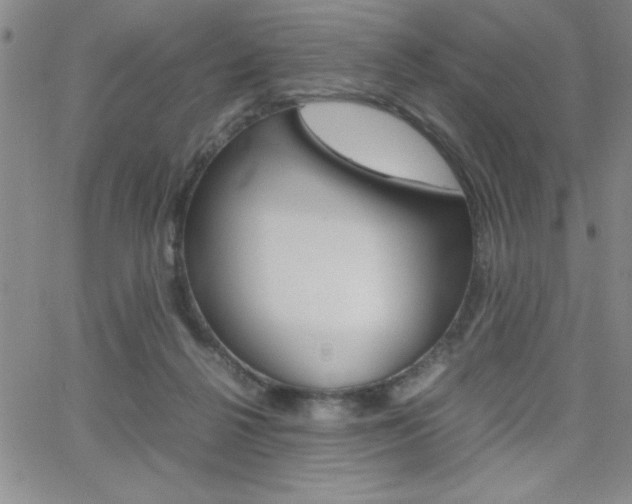 X0000062150264200512090958