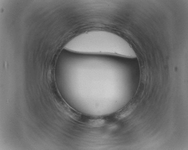 X0000062150266200512090958