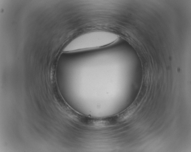 X0000062150268200512090958