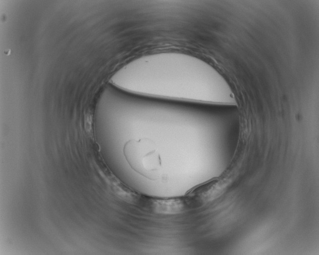 X0000062150281200512090958