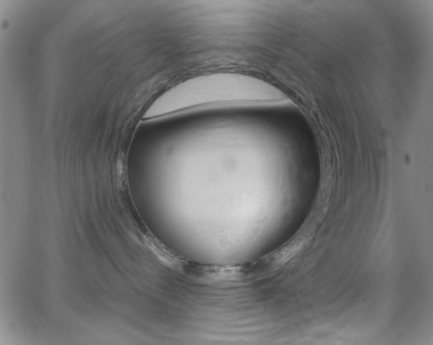 X0000062150288200512090958