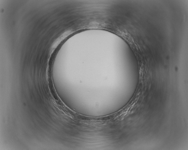 X0000062150292200512090957