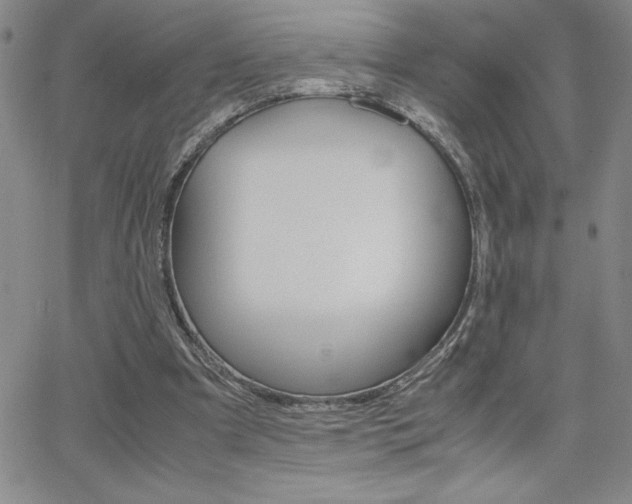 X0000062150297200512090957