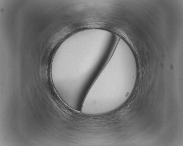X0000062150299200512090957
