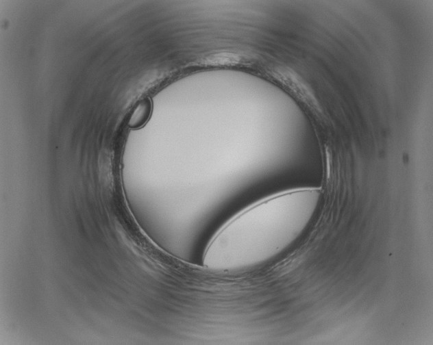 X0000062150300200512090957