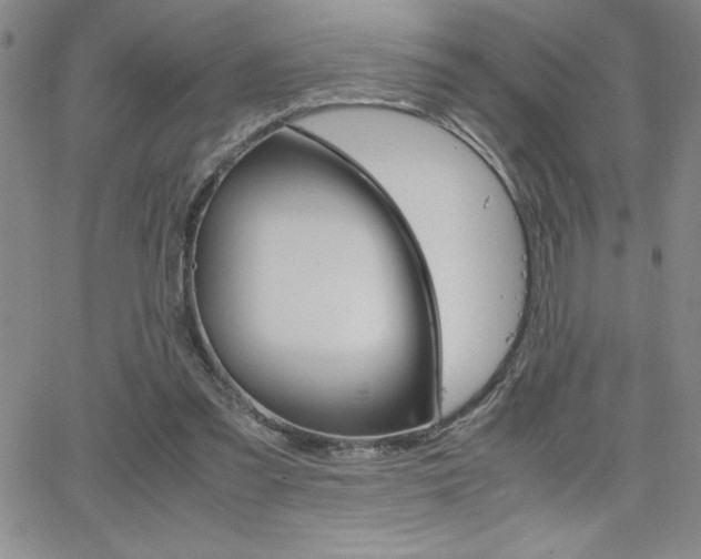 X0000062150301200512090957