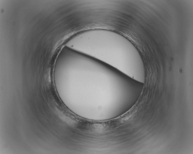 X0000062150302200512090957