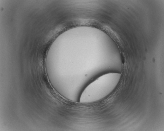 X0000062150306200512090957