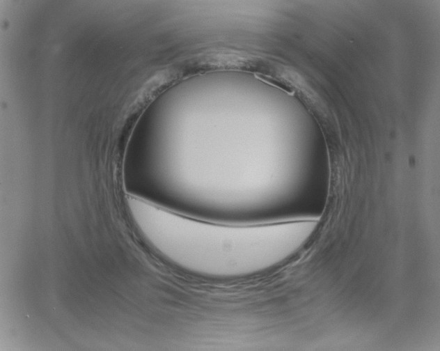 X0000062150309200512090957