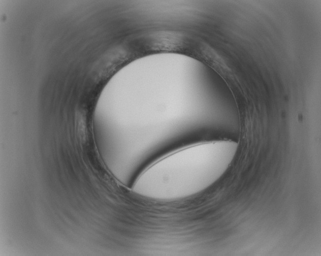 X0000062150312200512090957