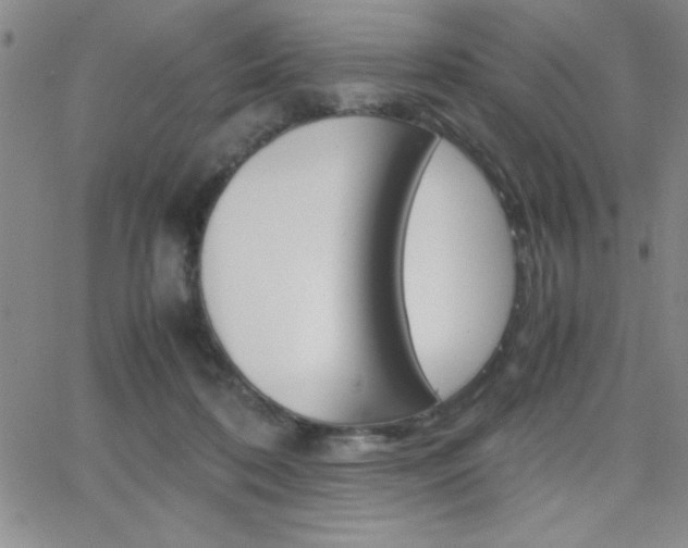 X0000062150316200512090957