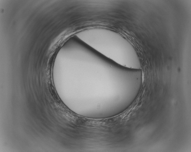 X0000062150339200512090956