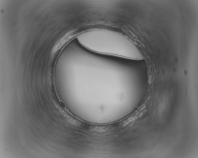 X0000062150341200512090956