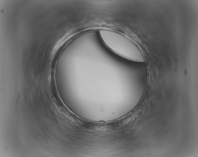 X0000062150344200512090956