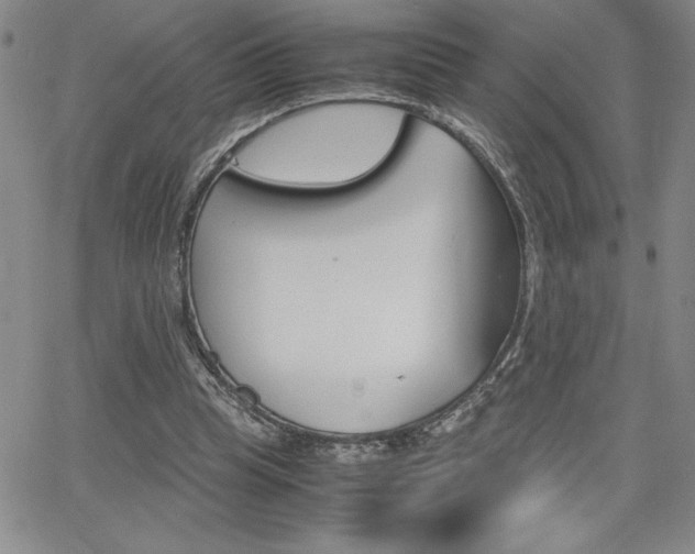 X0000062150345200512090956