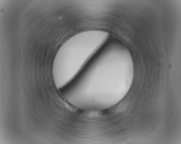 X0000062150384200512090957