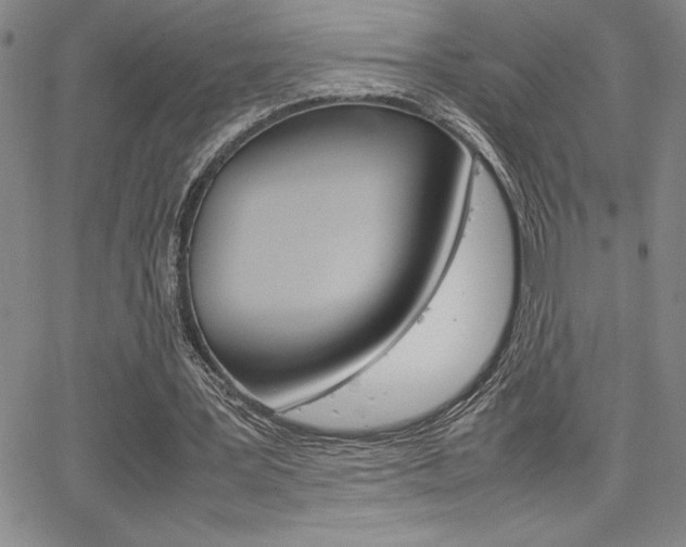 X0000062150387200512090956