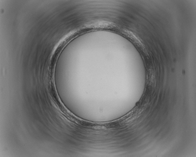 X0000062150392200512090956