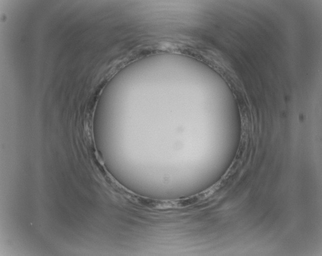 X0000062150415200512090955