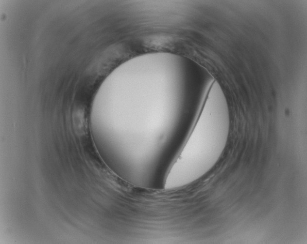 X0000062150420200512090955